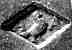 Angenot Alix	