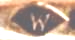 trade mark: E.M.WEINBERG & CO trade mark: E.M.WEINBERG & CO