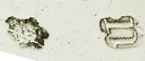 TW in script mark, Thomas Whipham, London 1755