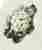 London 1755 Leopard's head mark