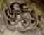 London 1759 lion passant mark