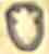 London 1798 Leopard's head mark