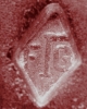 GABILANEZ FERNAND