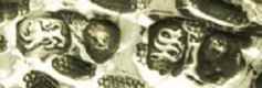 JC over NC into a quatrefoil mark, James & Nathaniel Creswick -T.J. & N. Creswick-, London 1853