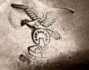 trade mark: FRED I. MARCY & CO trade mark: FRED I. MARCY & CO