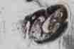 W.G in script mark, William Grundy, London 1752