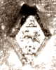 Basset Antonin