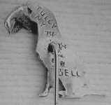 Sid Bell, Tully NY Sid Bell, Tully NY