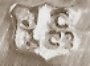 James Chesterman & Co - Sheffield