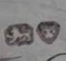 Joseph Angell sr, & Joseph Angell jr, mark entered 1840