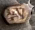 Austria: Vienna import mark 1872-1902