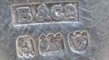 Bewlay & Co Ltd, London 1913 hallmark