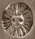 poincon de decharge Paris 1722-1727 - courtesy Robert Massart/ASCAS poincon de decharge Paris 1722-1727 - courtesy Robert Massart/ASCAS