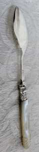 spoon with mother-of-pearl handle
