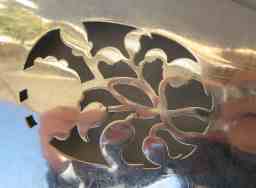 silver fish slice