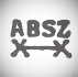 Buse A. & Shne - Zwickau