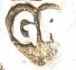Georg Roth & Co - Hanau