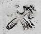 Sachse & Kohl successors to/frer Altermann Robert - Grlitz