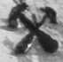 Sachse & Kohl successors to/frer Altermann Robert - Grlitz
