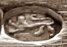 Estonia silver mark