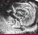Assay mark - silver standard: 'Rooster' 