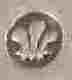 pseudo silverplate mark