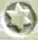 pseudo silverplate mark