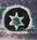 pseudo silverplate mark