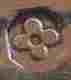 pseudo silverplate mark