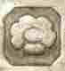 pseudo silverplate mark