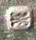 pseudo silverplate mark