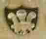 pseudo silverplate mark