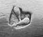 symbol mark, SCHMITZDORFF Godfried Fredrik, Cape Colony