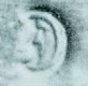 Cuneo assay office mark