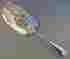 fish slice