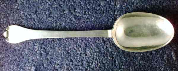 trefid spoon