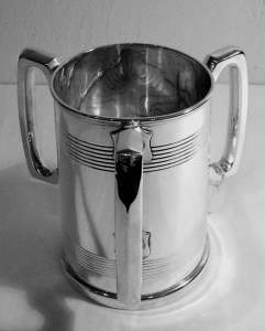silver tyg