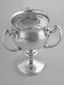 silver tyg