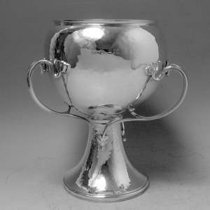 silver tyg