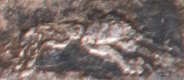 import objects 800/1000 1838-1864