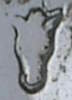 Regno Lombardo Veneto: ancient or repaired works mark Regno Lombardo Veneto: ancient or repaired works mark