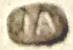 unidentified Estonia JA