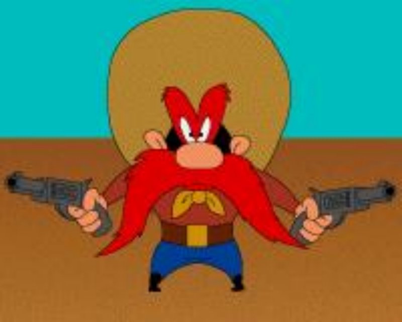 Yosemite Sam: yosemitesam