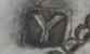 ALEXr & Sn into a rectangle mark, Alexander & Son -possibly-, Glasgow 1895 ALEXr & Sn into a rectangle mark, Alexander & Son -possibly-, Glasgow 1895