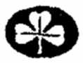Dublin import mark 1904-1906 Dublin import mark 1904-1906