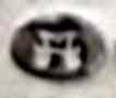 Dublin import mark 1906-1998 Dublin import mark 1906-1998