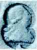 Sovereign's head 1797 Sovereign's head 1797