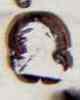 Sovereign's head 1824 Sovereign's head 1824